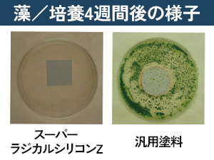 カビや藻の発生を長期間抑制
